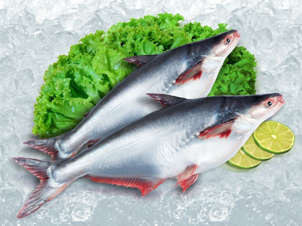 Các loại cá basa tại Việt Nam