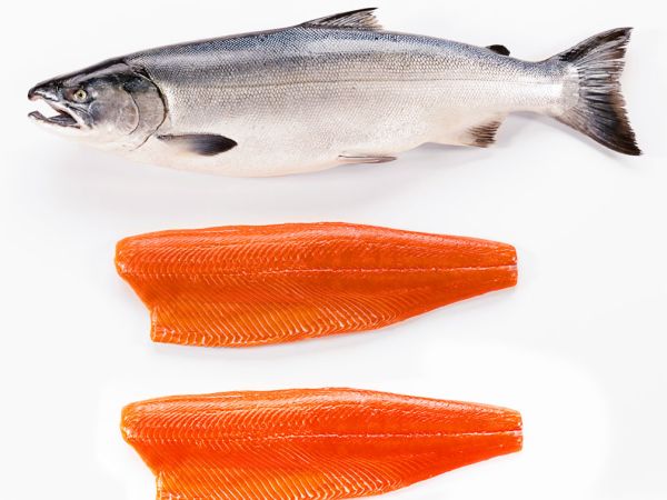 CÁ HỒI TƯƠI – NGUỒN DINH DƯỠNG CAO CẤP CHO BỮA ĂN CHẤT LƯỢNG