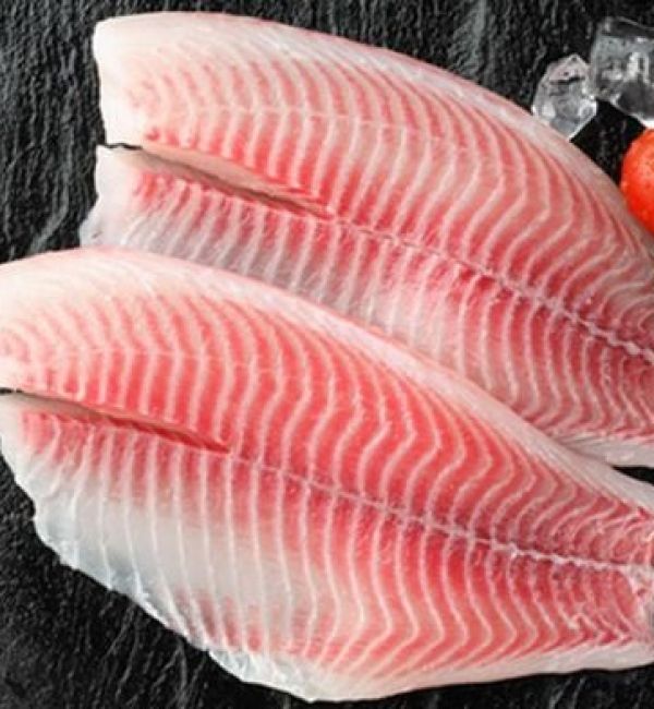 Cá diêu hồng phi lê