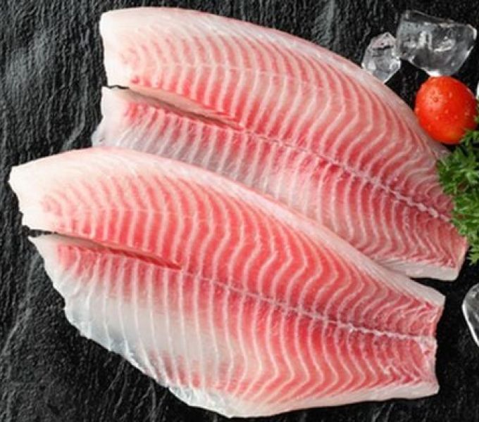 Cá diêu hồng phi lê